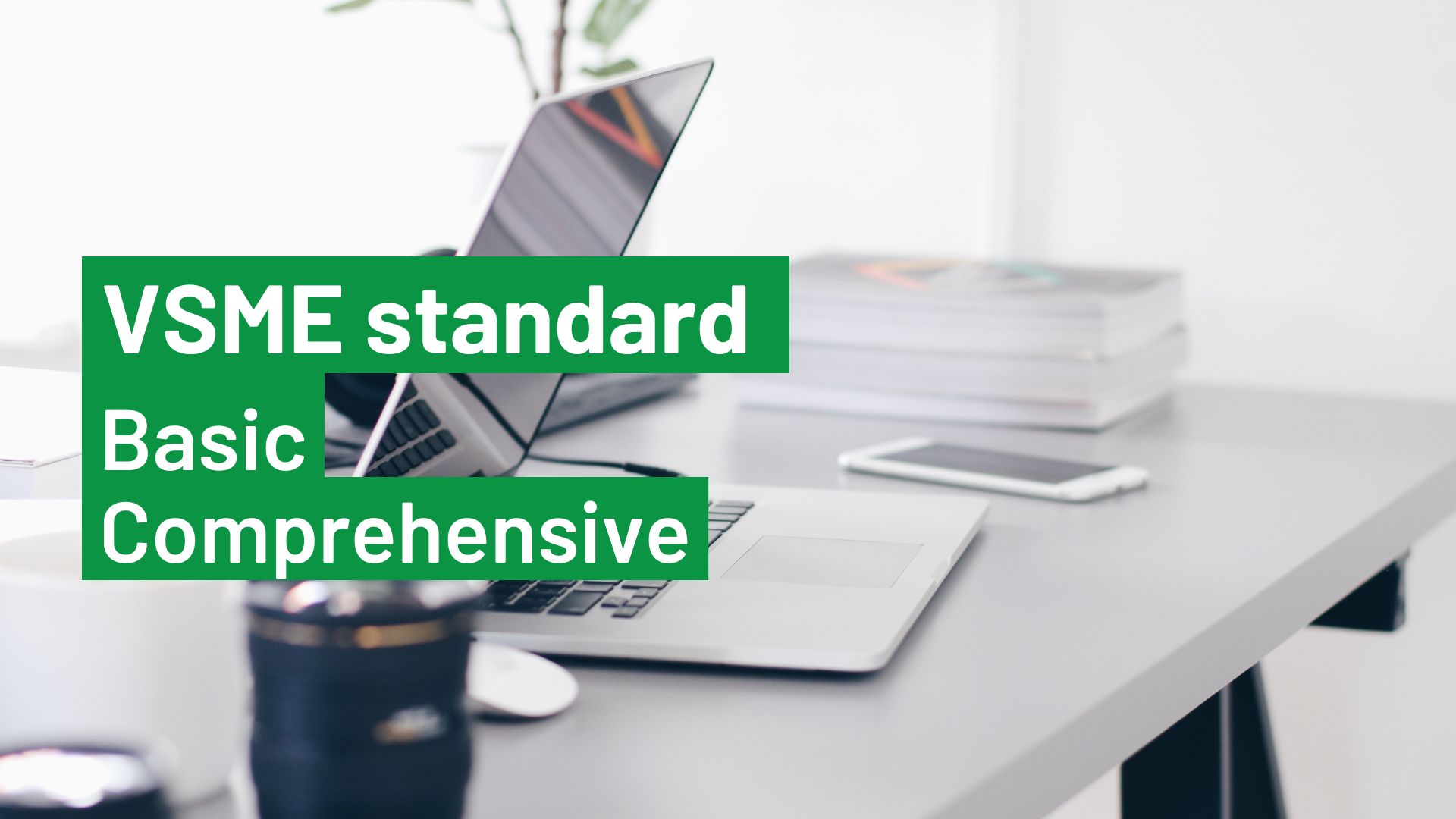 VSME_Basic-Comprehensive_blog.jpg